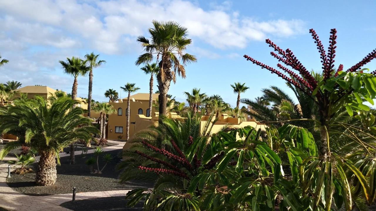 Casa Ilaria Fuerteventura -Wifi Free Lägenhet Corralejo Exteriör bild